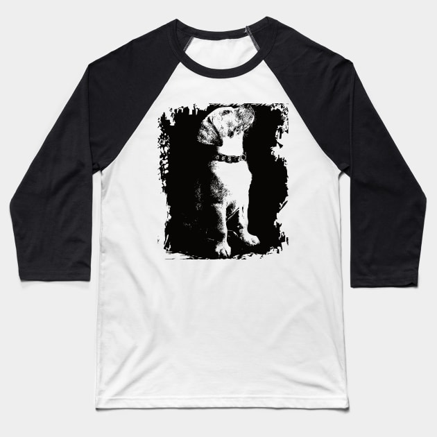 Cool dog Baseball T-Shirt by Ginstore